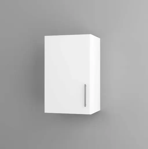 450mm wall cabinet (Geneva gloss white)